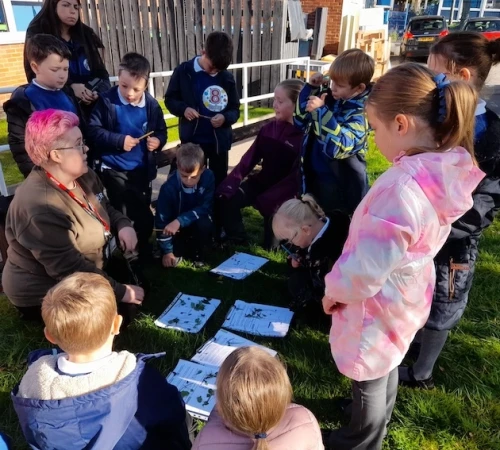 Templenewsam Halton Rewilding activity